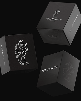 consultor-de-branding (2)